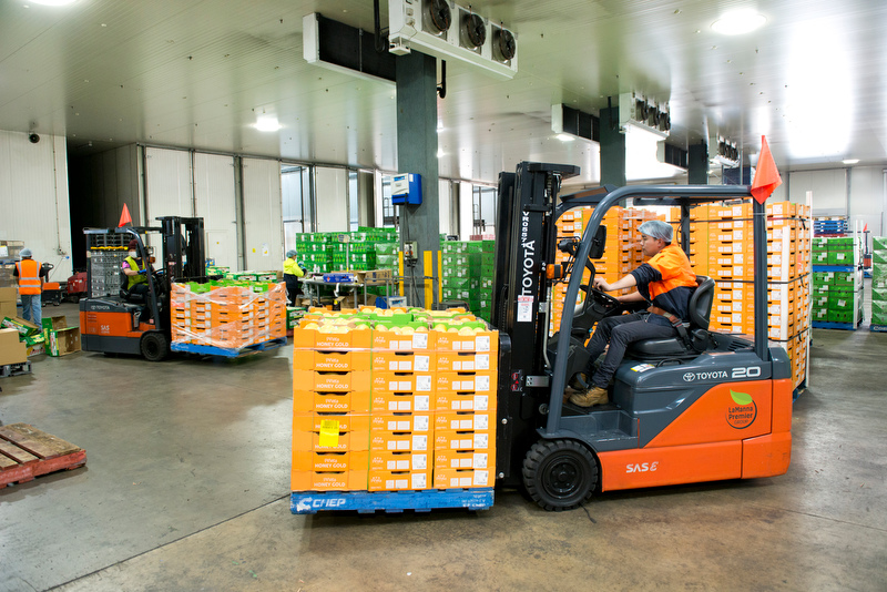 Toyota Material Handling Australia